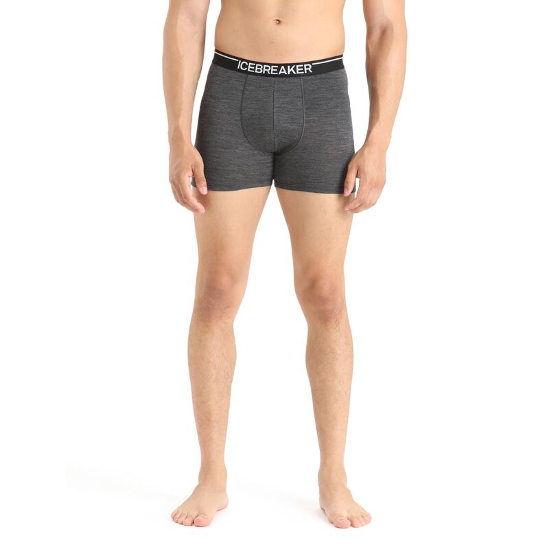 Icebreaker Mens Anatomica Boxers image number 0